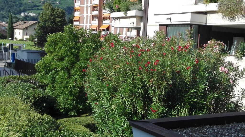 Camere Bolzano Da Glauco Экстерьер фото